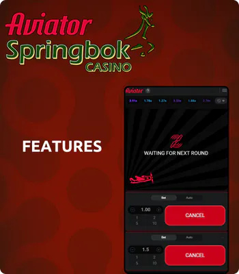 springbok bet